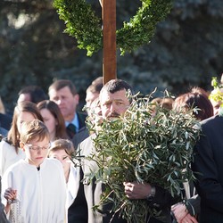 Palmweihe - 2012