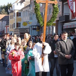 Palmweihe - 2012